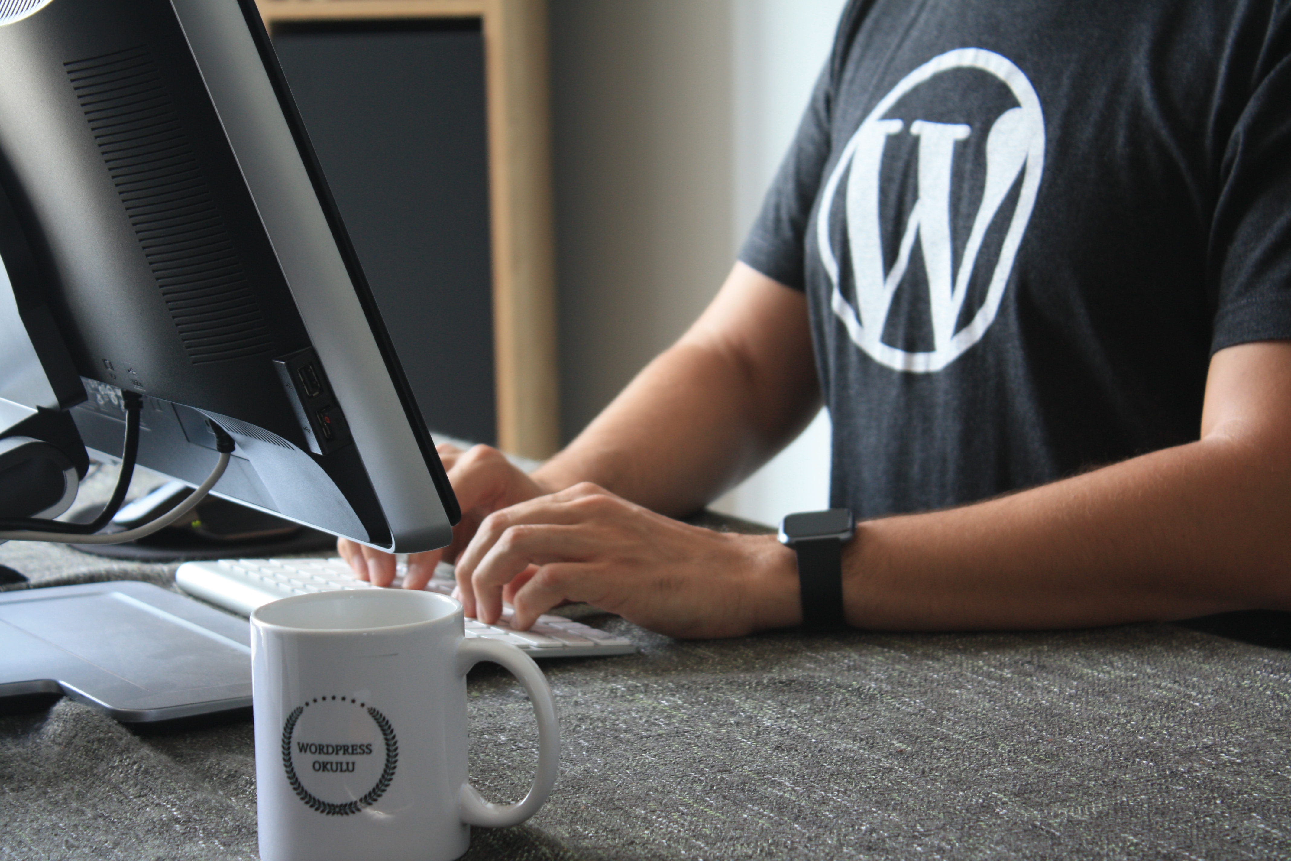 Multisite WordPress – Part One